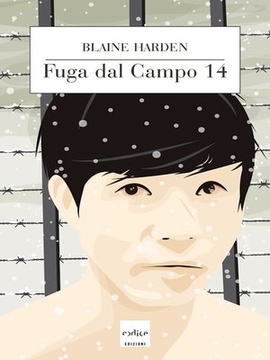 cover image of Fuga dal campo 14